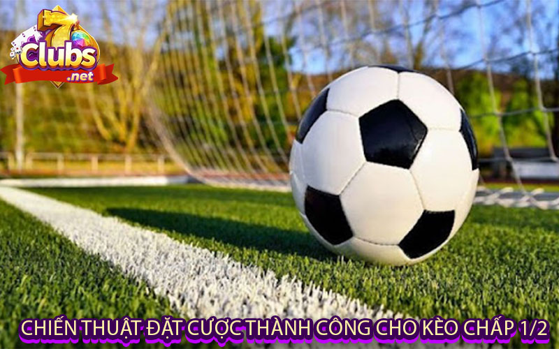 Chiến Thuật Đặt Cược Thành Công Cho Kèo Chấp 1/2