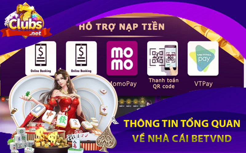 Thông tin tổng quan về nhà cái BETVND