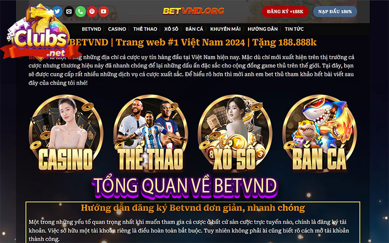 Tổng quan về BETVND